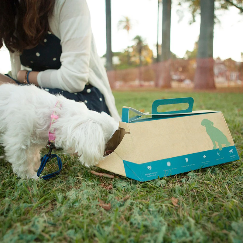 Pet Food Box